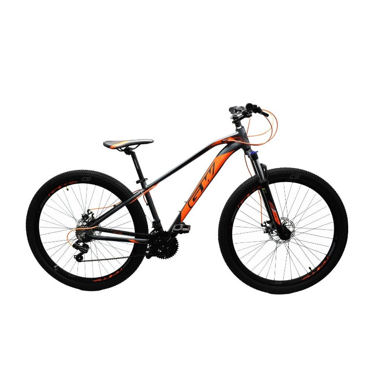 BICICLETA GW JAGUAR 29 ALUM 7 VEL DISCO MECANICA